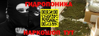 прущие крисы Кимры