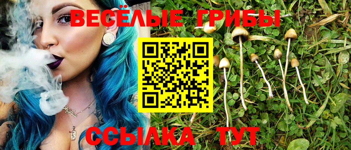 Галлюциногенные грибы мухоморы Златоуст